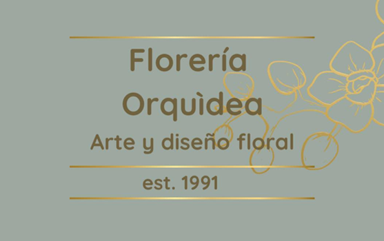 Perfil